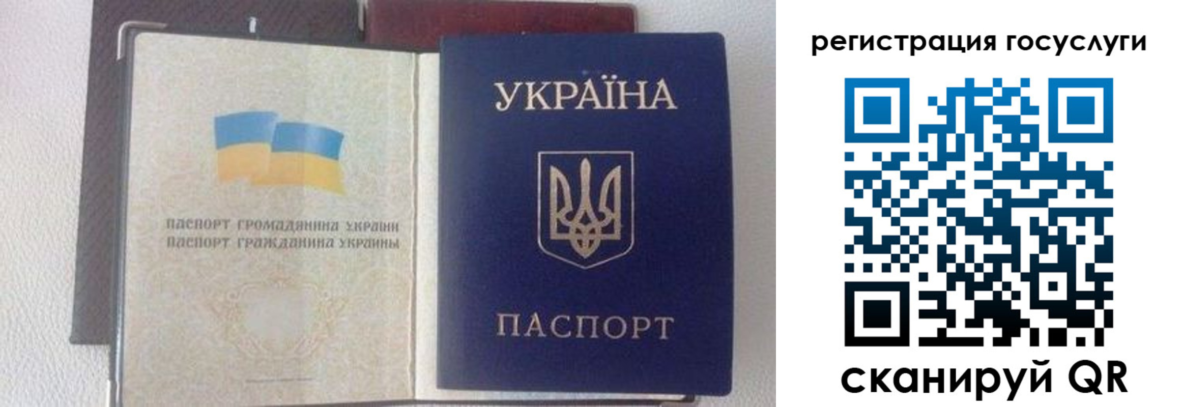 прописка для работы в Болотном
